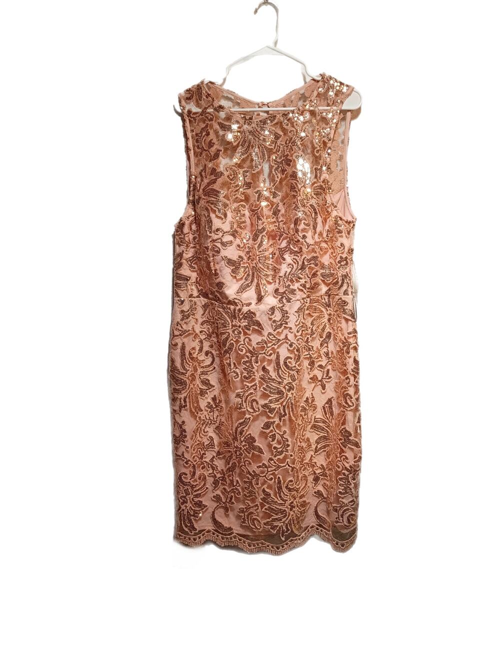 Windsor Women's Dress Size 1X